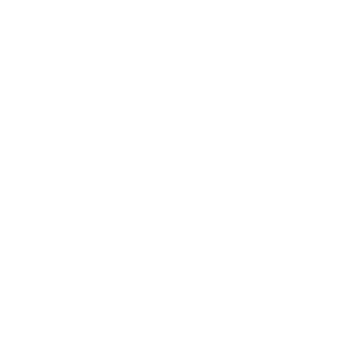 EliteToys