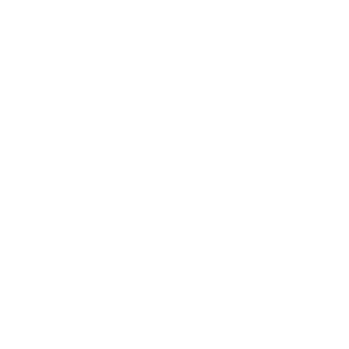  EliteToys 